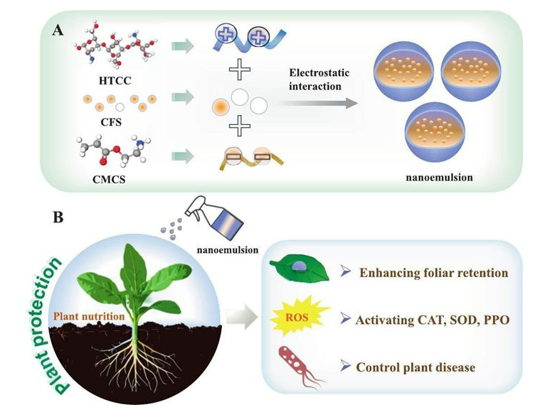 中国农科院植保所开发出生物农药纳米乳，对烟草靶斑病防效达72.97%